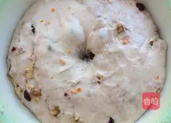 Walnut Cranberry Soft European Buns (Medium seeding method) illustration 7