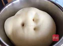 Illustration of how to make old starter bread 9