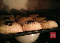 Whole Wheat Bread Whole Wheat Bread Recipe Illustration 9