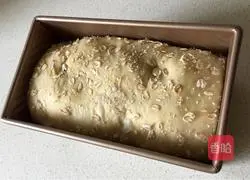 Illustration of making two-color bread with Matcha flavor 12