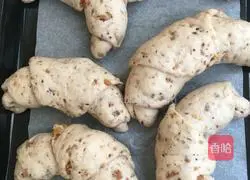 Walnut bread recipe 12