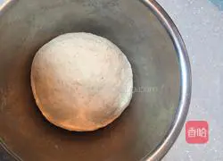 Pocket Bread (Pitta Bread) Recipe Illustration 2