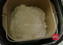 Whole wheat cheese bread recipe 1