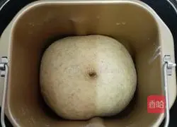 Bread machine whole wheat meal bag (cream cheese filling) illustration 5