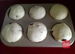 Cranberry Meal Bun Recipe Illustration 9