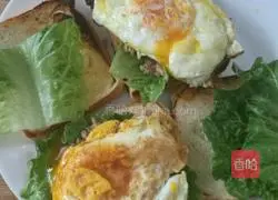 Illustration of how to make tuna sandwich and tuna vinaigrette salad 7