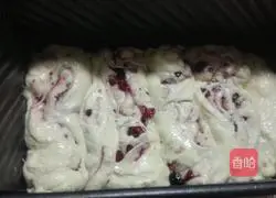 Coconut Cranberry Bread Recipe Illustration 11