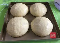 Emmental cheese bread recipe 18