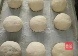 Illustration of how to make bear bread 9