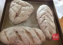 Walnut Cranberry Bread Recipe Illustration 6