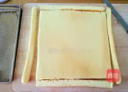 Blueberry Cake Roll Recipe Illustration 15