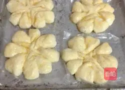 Illustration of how to grow coconut flower bread in the refrigerator 11