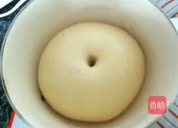 Illustration of how to make borscht bread 7