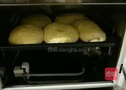 Illustration of making homemade whole wheat bread 6