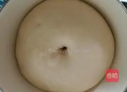 Illustration of how to make scallion ham and cheese bread 6