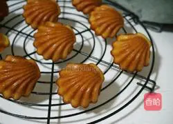 French madeleine recipe illustration 19