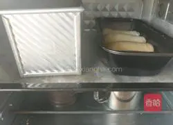 Whole wheat bread recipe 14