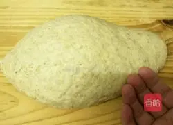 Illustration of making homemade whole wheat bread 2