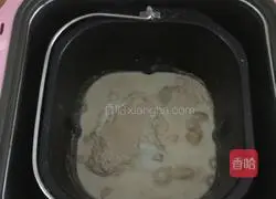 Yoghurt whole wheat bread recipe 1