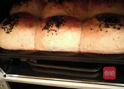 Whole Wheat Bread Whole wheat bread recipe 11