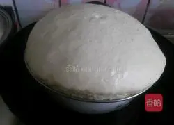 Hazelnut butter sandwich bread recipe 2