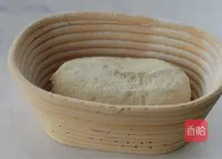 Illustration of how to make country European buns without kneading 12