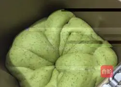 Spring Spinach Bread Recipe Illustration 11