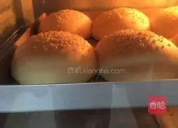 Big Mac Illustration of how to make hamburger buns 9