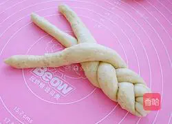 Whole wheat braided bread recipe 8