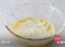 Melon Mousse Recipe Illustration 9