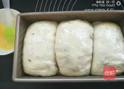 Yoghurt Raisin Toast Bread Recipe Illustration 10