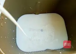 Bread machine yogurt recipe 10