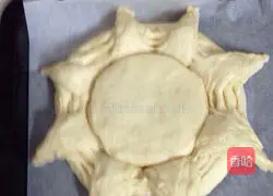 Illustration of how to make sunflower bread 11