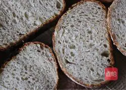 No-knead country European buns Practice illustration 22