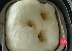 Whole wheat cheese bread recipe 5