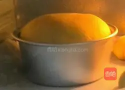 Pumpkin cheese bread recipe 11