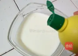 Mango Chocolate Mousse Recipe Illustration 5