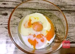 Illustration of how to make floss and clams 3