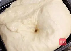 Purple Sweet Potato Rice Sandwich Bread Recipe Illustration 5