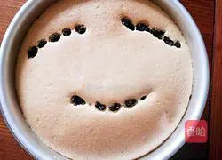 Cranberry Cake Recipe Illustration 9