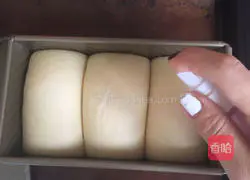 Hokkaido Bread Recipe Illustration 11