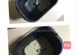 Coconut bread recipe 1