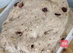 Natural ferment Illustration of how to make multigrain rye bread 2