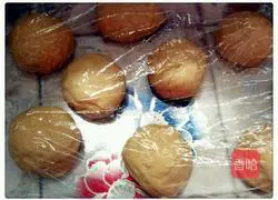 Bread Scallion Pancake Recipe Illustration 9