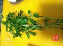 Illustration of how to stir-fry sea melon seeds in Jinbuhuan 3