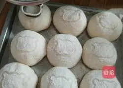 Illustration of how to make bear bread 12