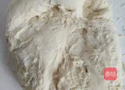 Illustration of how to make hand-shredded bread 2