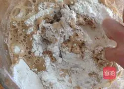 Walnut Cranberry Bread Recipe Illustration 1