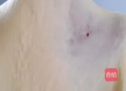 Illustration of making bean paste bread 5