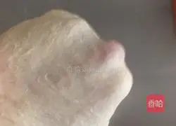 Illustration of how to make whole wheat snack buns 1